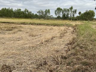 For sale land in Prakhon Chai, Buriram