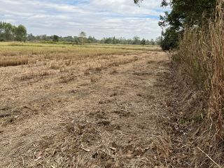 For sale land in Prakhon Chai, Buriram
