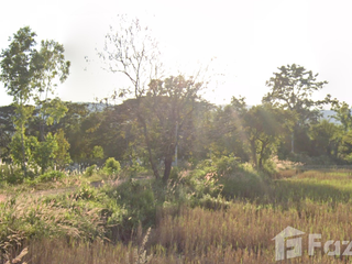 ขาย ที่ดิน ใน หนองนา, ขอนแก่น