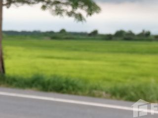 For sale land in Ongkharak, Nakhon Nayok