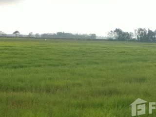 For sale land in Ongkharak, Nakhon Nayok