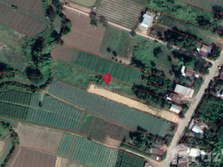 For sale land in Lom Sak, Phetchabun