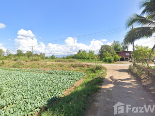 For sale land in Lom Sak, Phetchabun