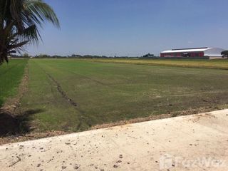 For sale land in Khlong Luang, Pathum Thani