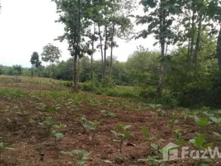 For sale land in Mueang Lampang, Lampang