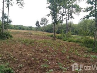 For sale land in Mueang Lampang, Lampang