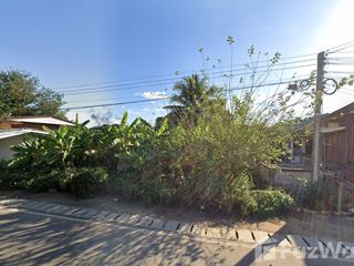 For sale land in Chiang Dao, Chiang Mai