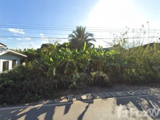 For sale land in Chiang Dao, Chiang Mai