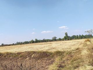For sale land in Chiang Khwan, Roi Et