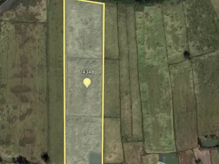 For sale land in Chiang Khwan, Roi Et