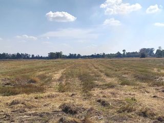 For sale land in Chiang Khwan, Roi Et