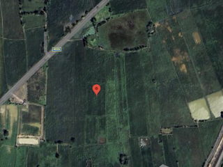 For sale land in Chiang Khwan, Roi Et