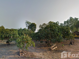 For sale land in Noen Maprang, Phitsanulok