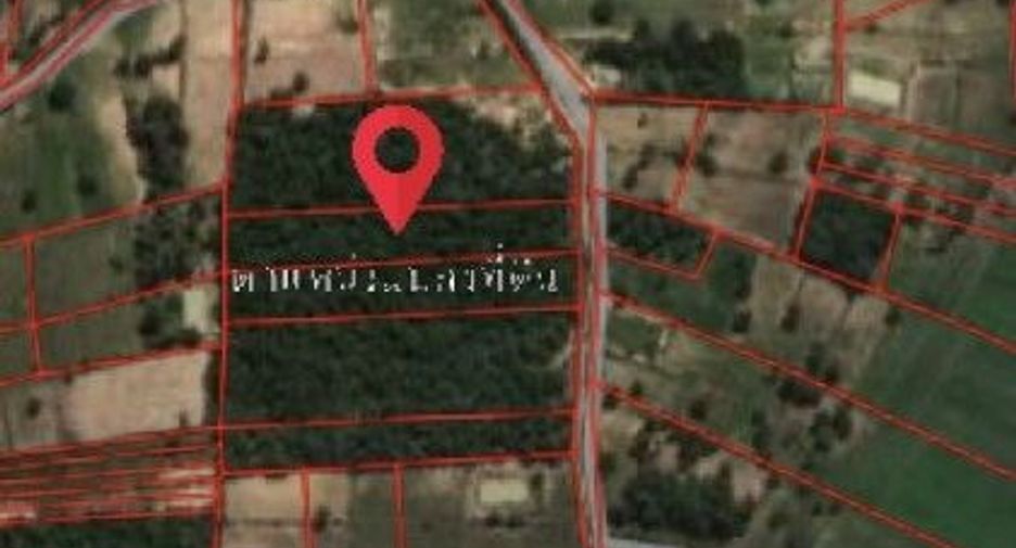 For sale land in Tha Tum, Surin