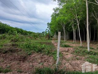 For sale land in Hat Yai, Songkhla