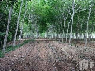 For sale land in Hat Yai, Songkhla