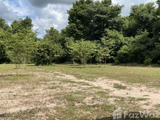 For sale land in Mueang Nakhon Phanom, Nakhon Phanom