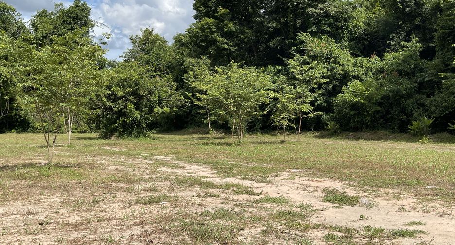 For sale land in Mueang Nakhon Phanom, Nakhon Phanom