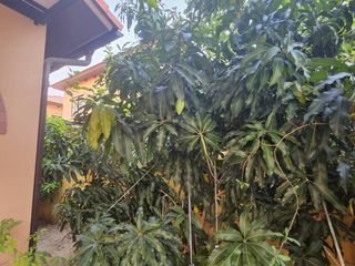 For sale 4 bed house in Wang Noi, Phra Nakhon Si Ayutthaya