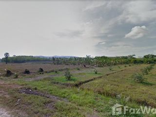 For sale land in Hua Sai, Nakhon Si Thammarat