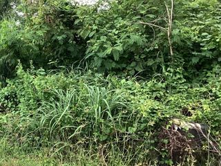 For sale land in Mueang Saraburi, Saraburi