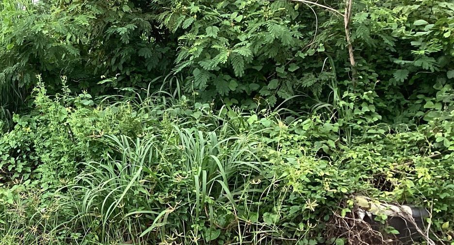 For sale land in Mueang Saraburi, Saraburi