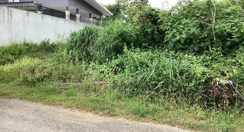 For sale land in Mueang Saraburi, Saraburi