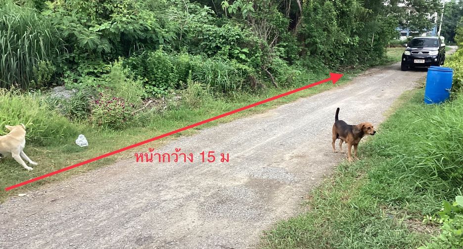 For sale land in Mueang Saraburi, Saraburi