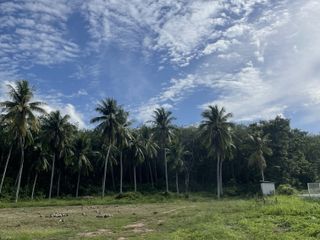 For sale land in Ko Yao, Phang Nga