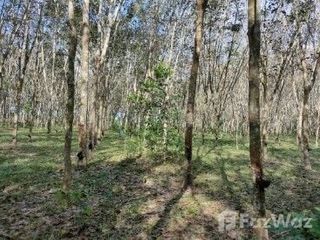 For sale land in Bang Klam, Songkhla
