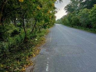 For sale land in Bang Klam, Songkhla