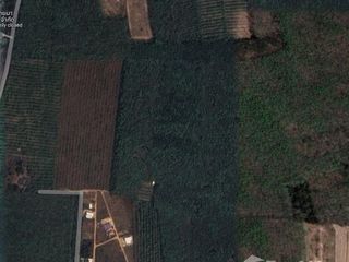 For sale land in Bang Klam, Songkhla