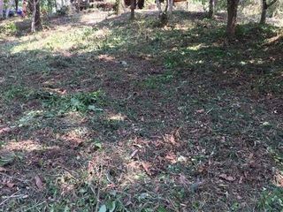 For sale land in Phu Phiang, Nan