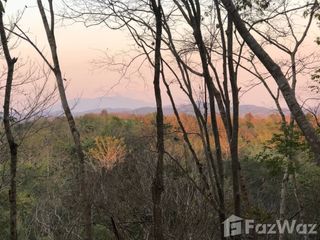 For sale land in Phu Phiang, Nan