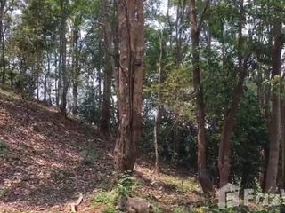 For sale land in Phu Phiang, Nan