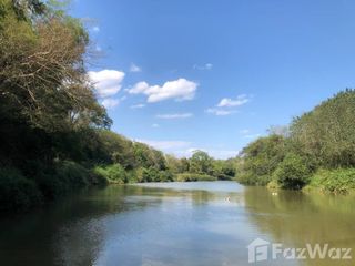 For sale land in Phu Phiang, Nan