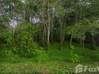 For sale land in Mueang Chumphon, Chumphon