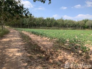 For sale land in Sai Mun, Yasothon