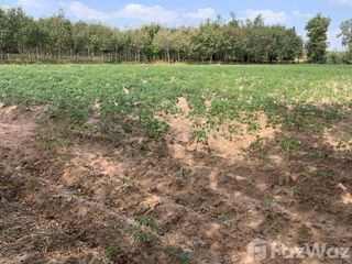 For sale land in Sai Mun, Yasothon