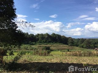 For sale land in Muang Nan, Nan