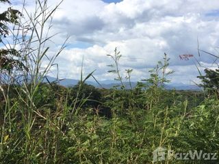 For sale land in Muang Nan, Nan