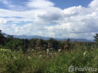 For sale land in Muang Nan, Nan