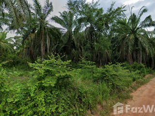 For sale land in Khlong Hoi Khong, Songkhla