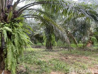 For sale land in Khlong Hoi Khong, Songkhla