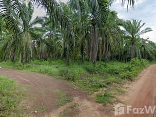 For sale land in Khlong Hoi Khong, Songkhla