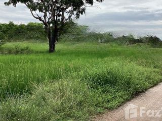 For sale land in Kaeng Khoi, Saraburi