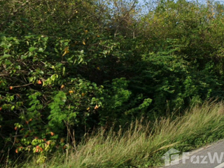 For sale land in Mueang Pattani, Pattani