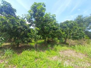 For sale land in Bang Khla, Chachoengsao