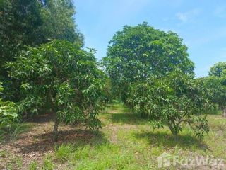 For sale land in Bang Khla, Chachoengsao