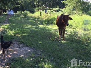For sale land in Wiang Chai, Chiang Rai